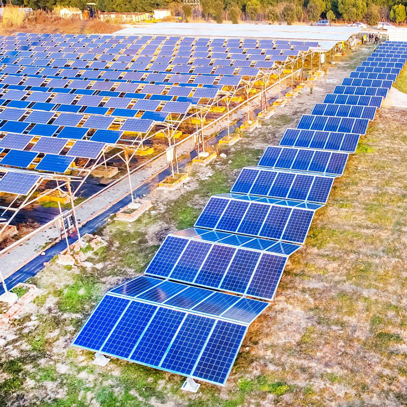 Senta Energy Co., Ltd.